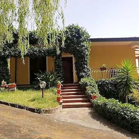 Terrazza In Collina