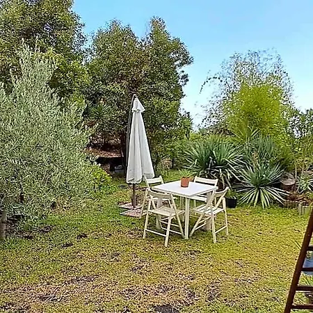 Terrazza In Collina Villa Viagrande